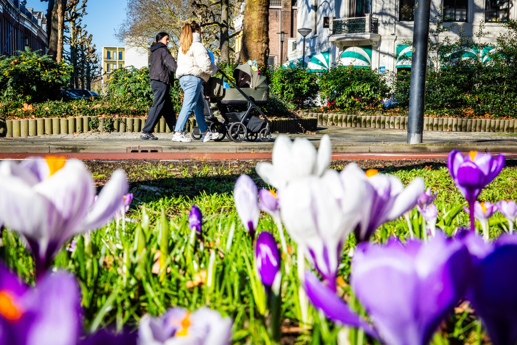 Niet eerder was het op 25 februari zo warm in ons land: 19,3 graden in Maastricht