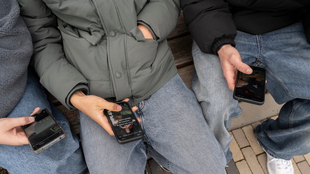 Image for the article: 'Zeer gewelddadige content': kinderrechter veroordeelt jongeren voor TikTok-radicalisering