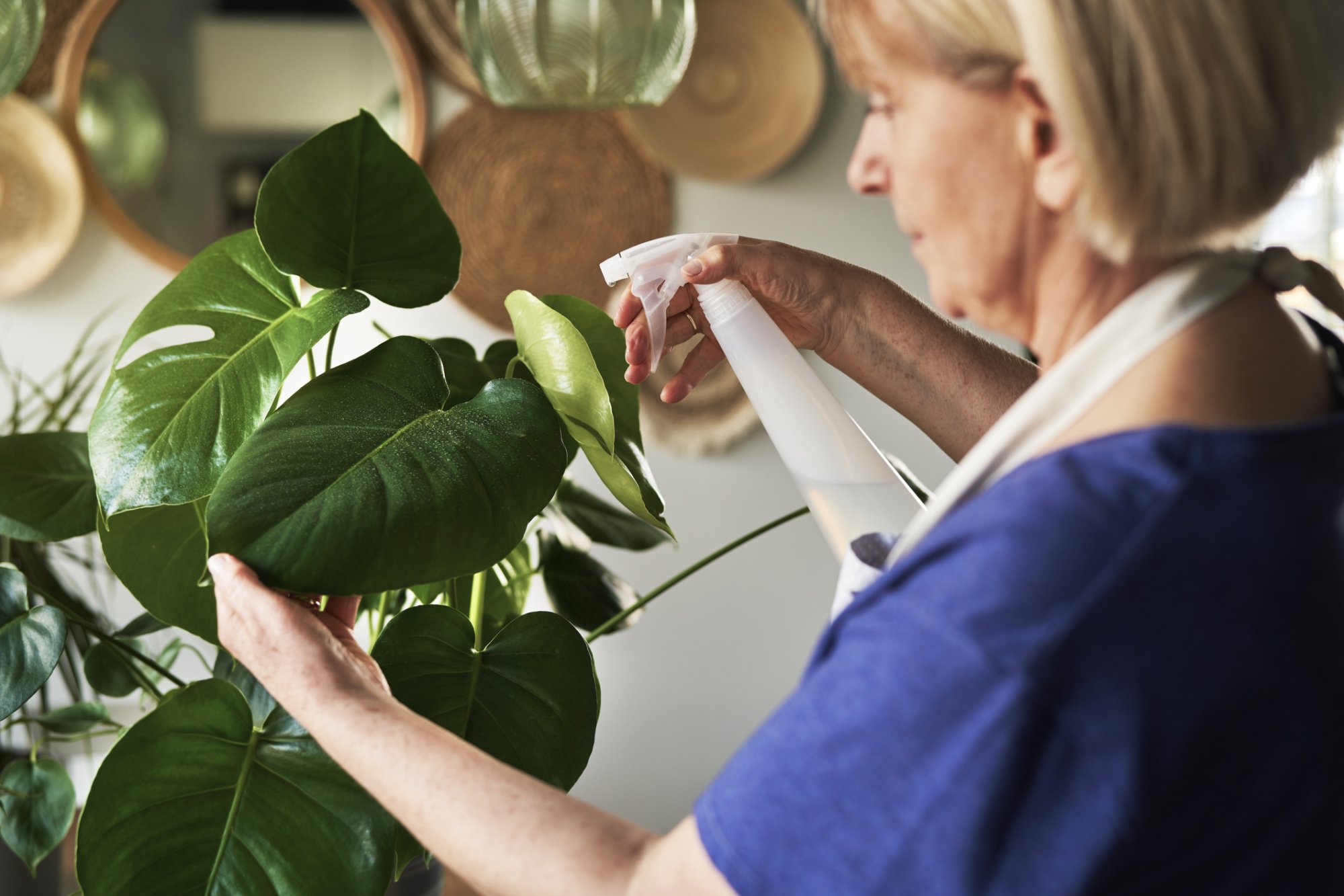 Deze kamerplanten zijn het makkelijkst in leven te houden