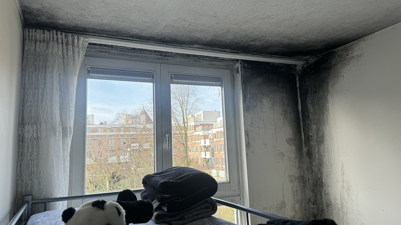 Schimmel in sociale huur: meer huurders krijgen gelijk