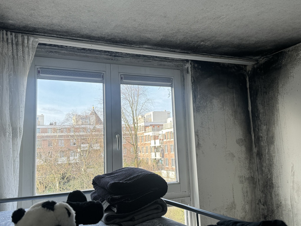 Schimmel in sociale huur: meer huurders krijgen gelijk