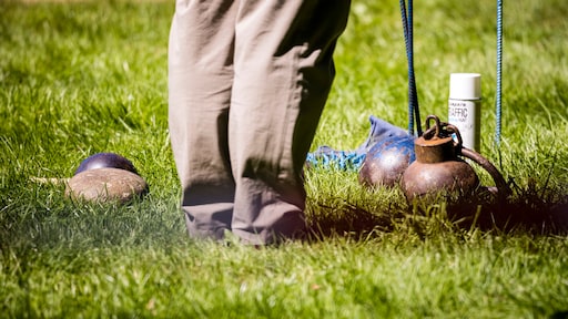 Taakstraffen geëist om sportevenement waarbij dode viel door metalen bal