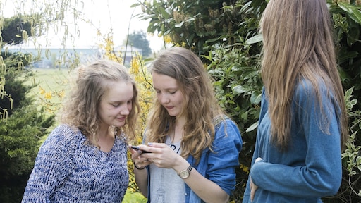 WhatsAppkanalen voor meiden vol risico's: 'Kijk mee met je kind'