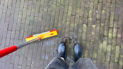 Groene aanslag en mos uit de tuin verwijderen: zo pak je het aan (en zo niet)