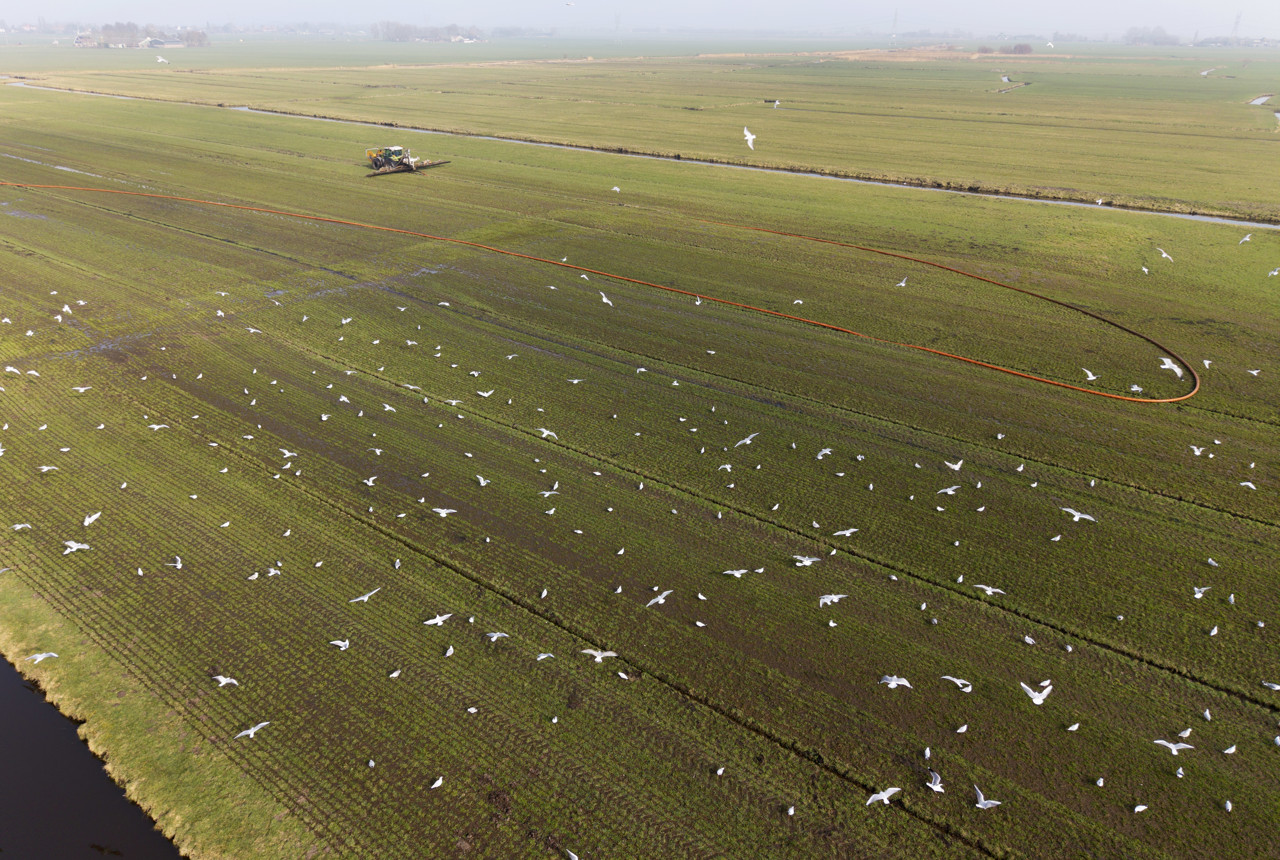 Natuur in gevaar: stikstofbeleid schiet ernstig tekort