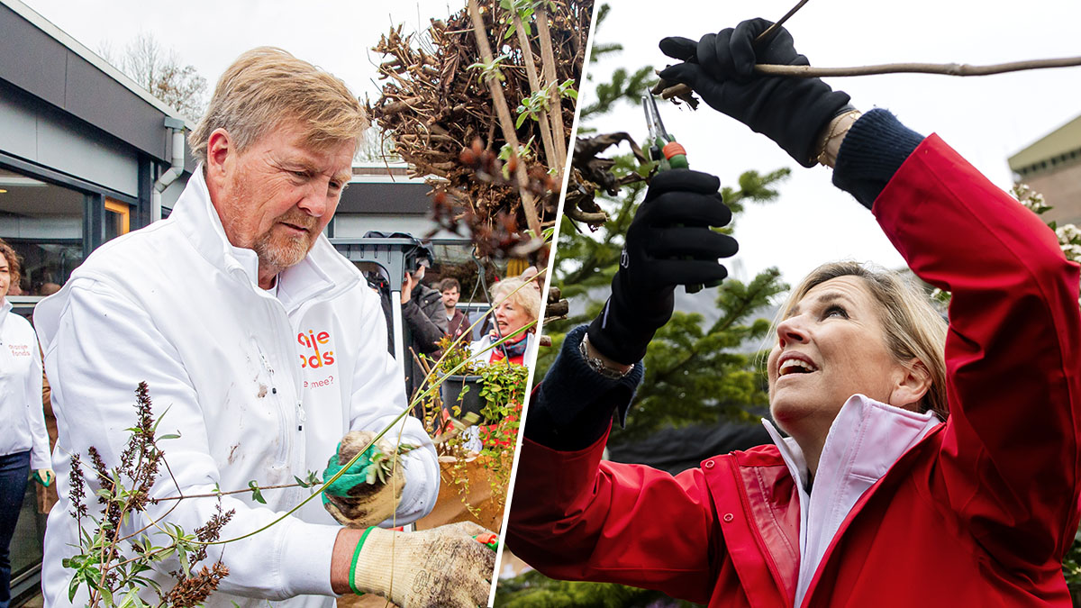 Koning Willem-Alexander neemt Máxima in het ootje tijdens NLdoet: 'Even aan de kant, majesteit'