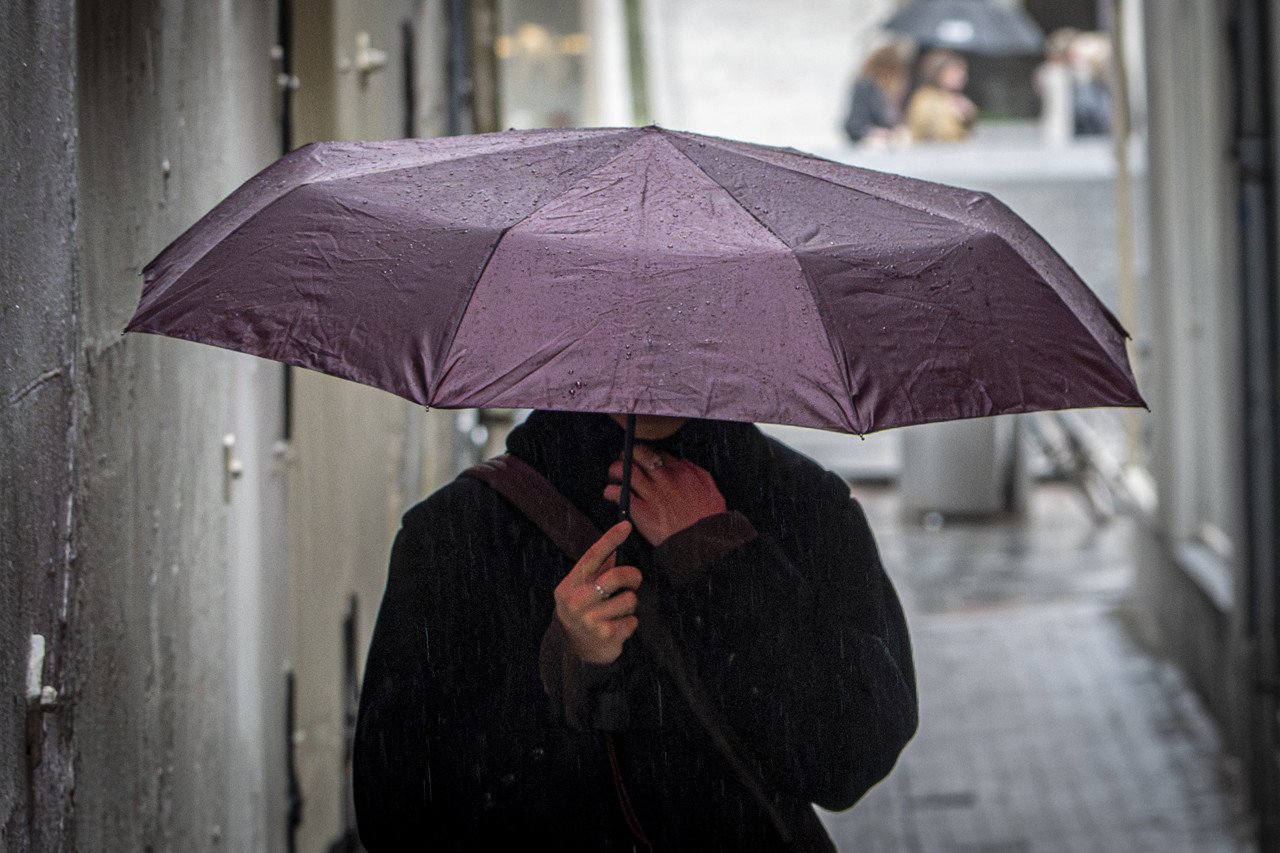 今日はまだ冷たい雨が降っていますが、明日は太陽が降り注ぐ素晴らしい一日になります