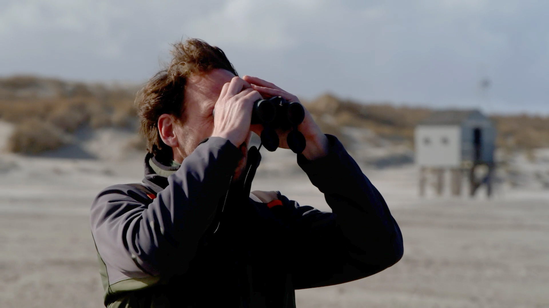 Joeri vond bijzondere pijlinktvis op strand: 'Komt niet voor hier'