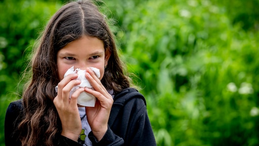 Waarschuwing voor allergiepatiënten: veel bomen bloeien op hetzelfde moment