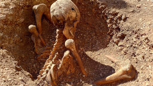 Kinderen vinden rechtop begraven skelet, mysterie voor onderzoekers