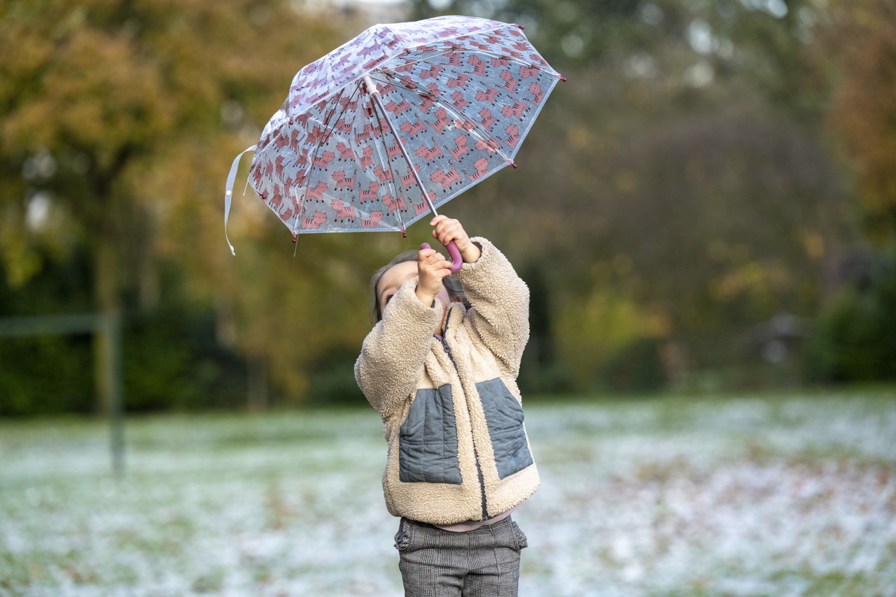 Maart roert zijn staart: kloppen weerspreuken anno 2026 nog wel?
