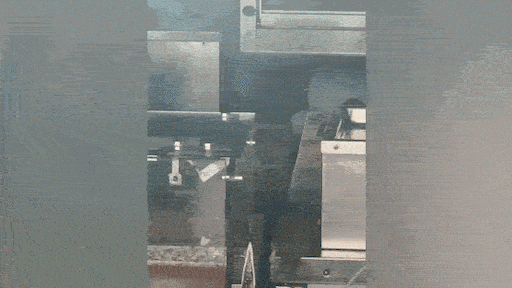 Rattenplaag in horeca, explosieve stijging overtredingen: 'Niet normaal!'