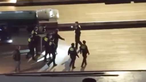 Wolf bijt vrouw in gezicht in centrum Hamburg: dier gevangen door politie