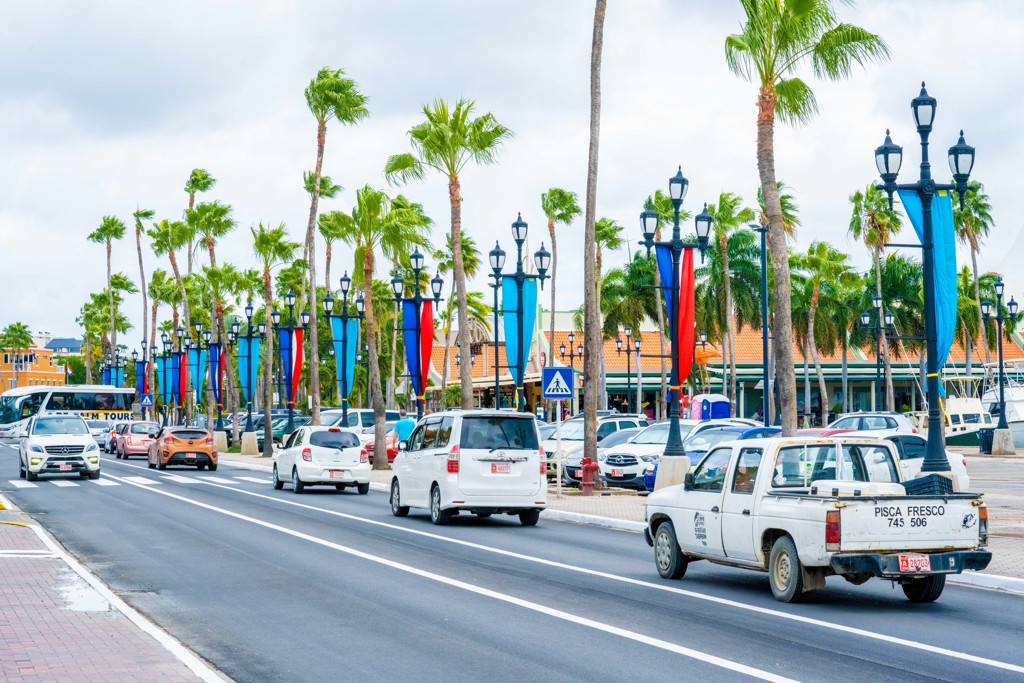 Drie jaar cel voor agenten op Aruba die 19-jarige doodschoten