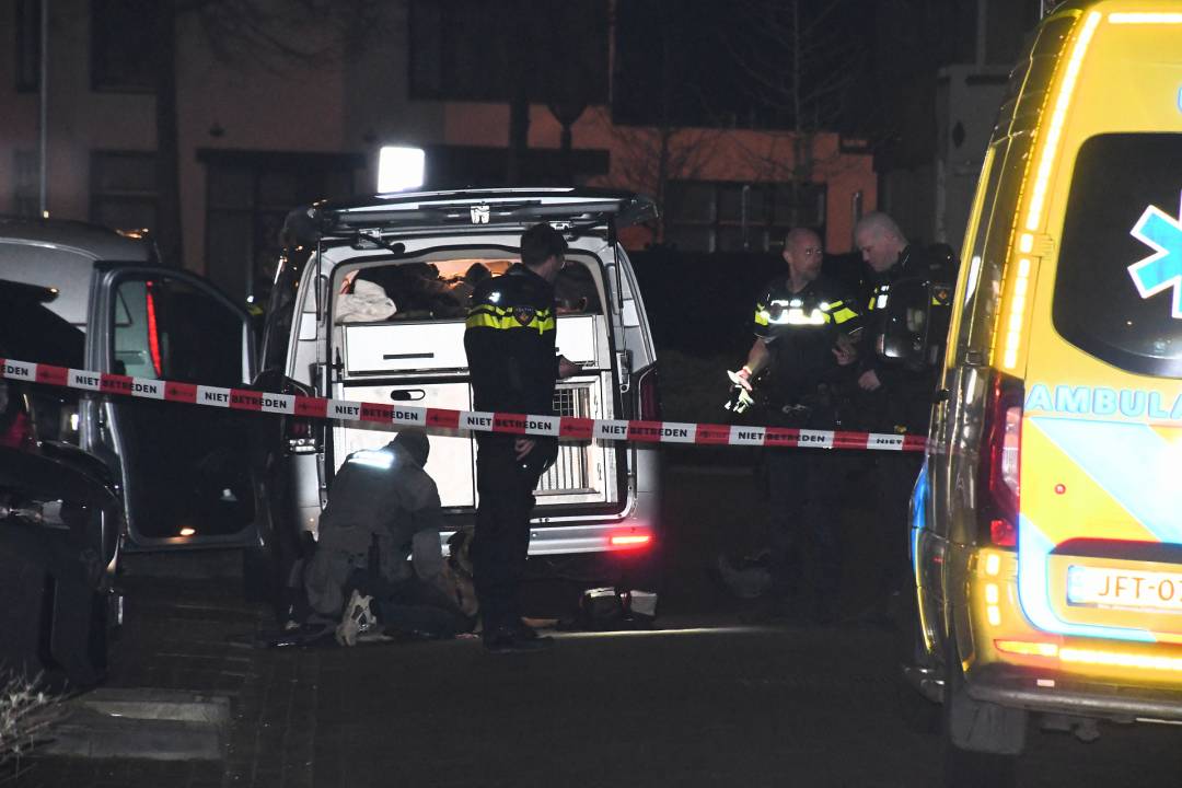 Schot gelost bij grote politieactie Vlissingen