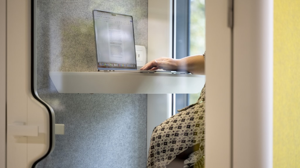 Image for the article: Ambtenaar ontslagen na snuffelen in gegevens van nieuwe vriendin van ex