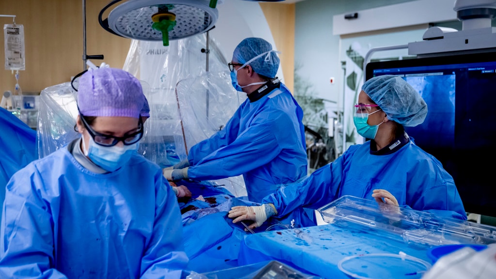 Image for the article: Nederlandse maker patiëntendossiers gehackt, ziekenhuizen halen systemen offline