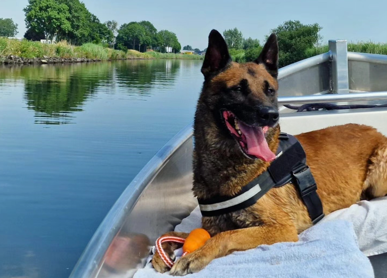 Met hondenpensioen: politie zoekt nieuw thuis voor Woody