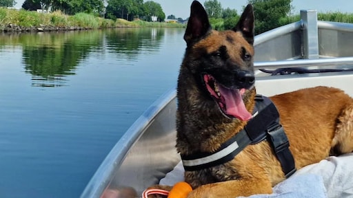 Met hondenpensioen: politie zoekt nieuw thuis voor Woody