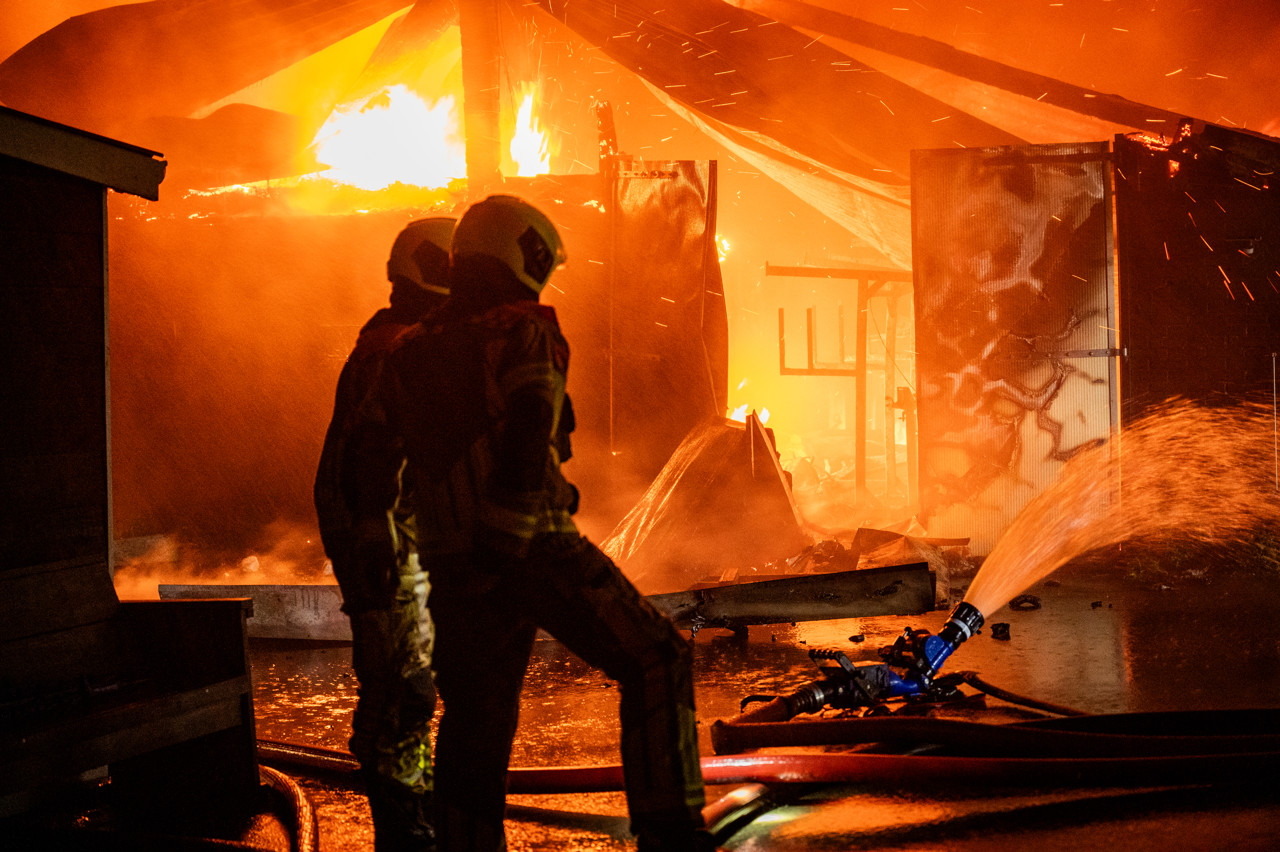 Ruim 60.000 dieren dood door stalbranden in 2025: 'Leed is enorm groot'