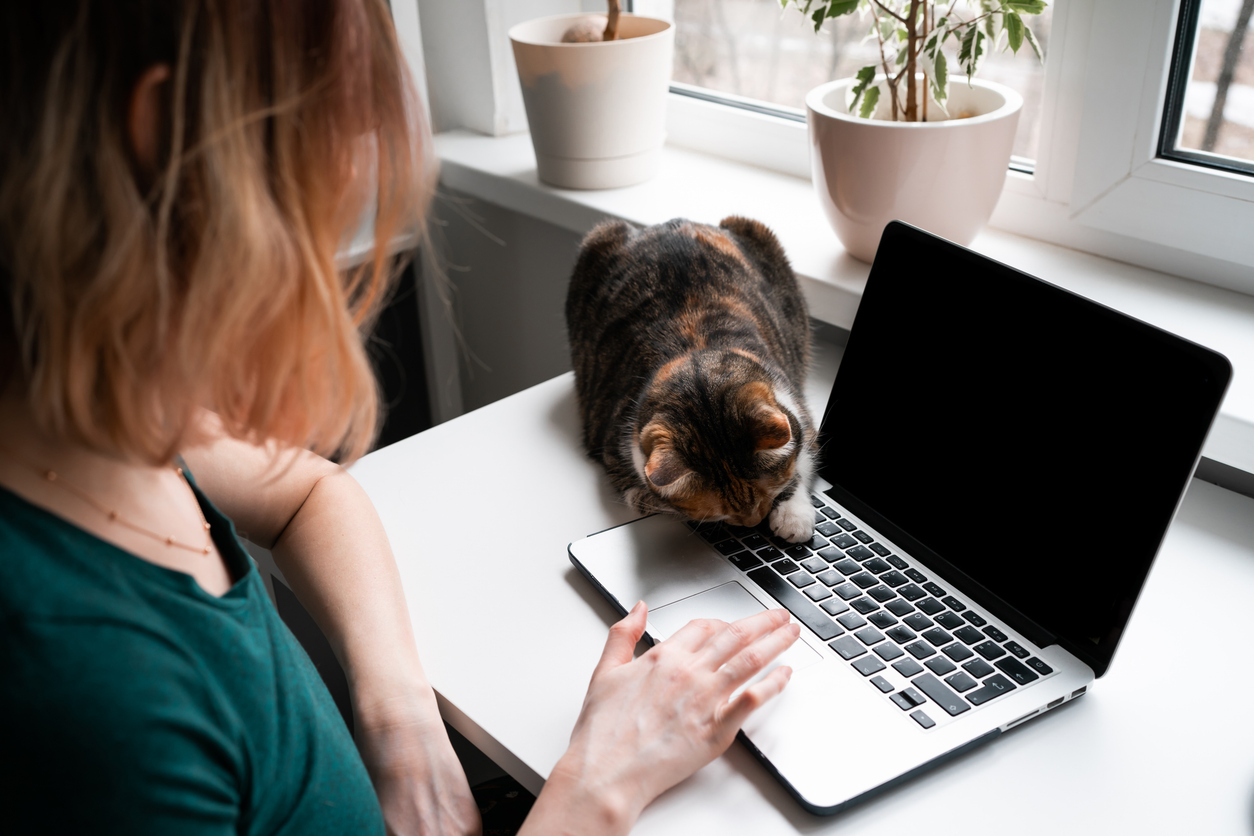 Gebroken nachten, overal poep en braaksel: Mieke wil nooit meer een kat