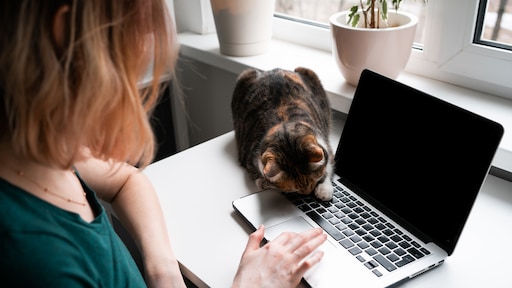 Gebroken nachten, overal poep en braaksel: Mieke wil nooit meer een kat
