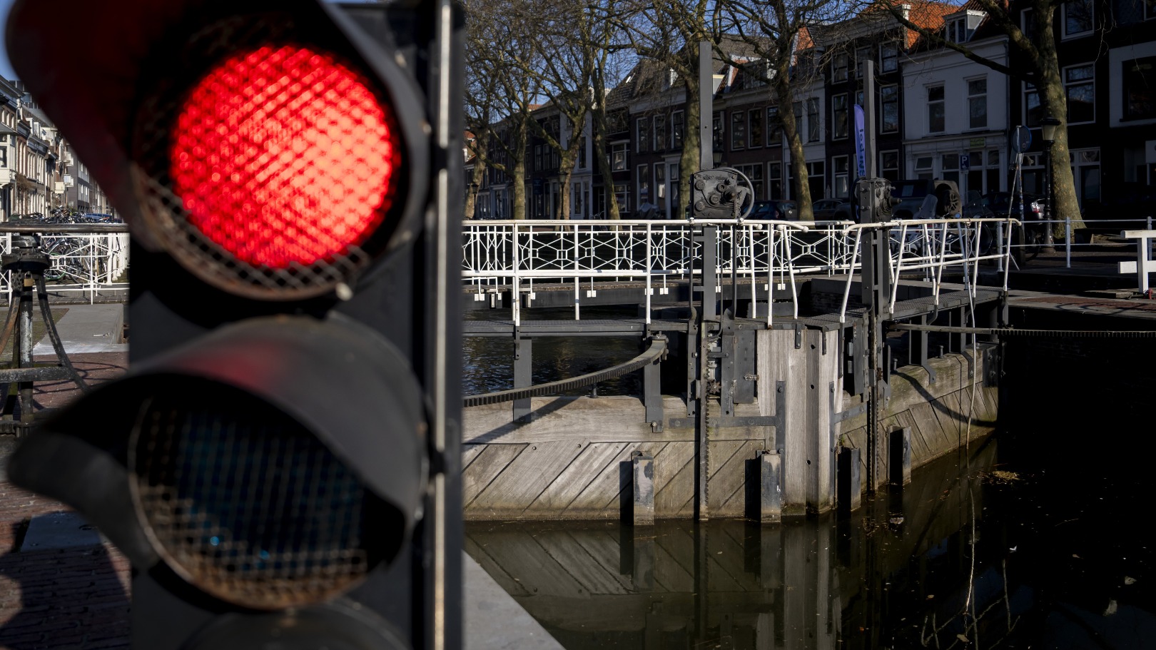 Zeldzame vis gespot bij Utrechtse visdeurbel: 'Helemaal uit zee hierheen gekomen'