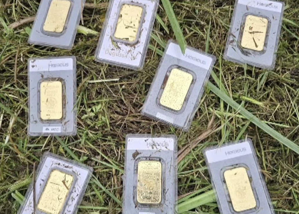 Duitse plantsoenmedewerker vindt goud bij maaien: gemeente deelt 40.000 euro uit