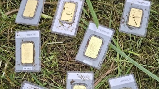 Duitse plantsoenmedewerker vindt goud bij maaien: gemeente deelt 40.000 euro uit