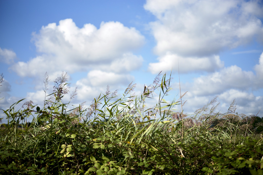 Grijs en nat in noordoosten: geniet morgen en woensdag van prachtige lentedag