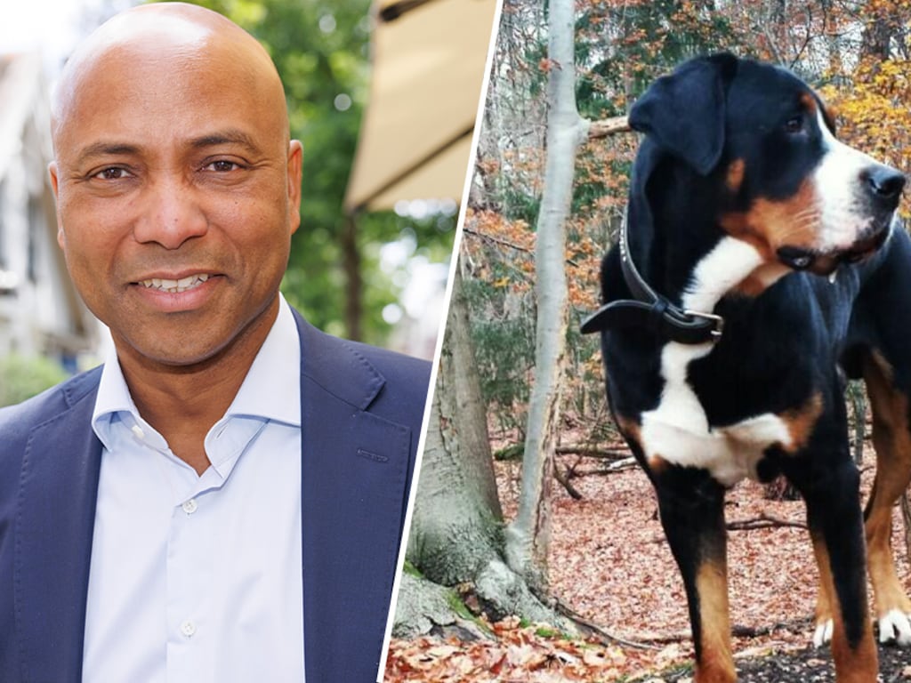 Humberto Tan zag hond Billy voor zijn ogen doodgaan: 'Er kwam net een auto aan'
