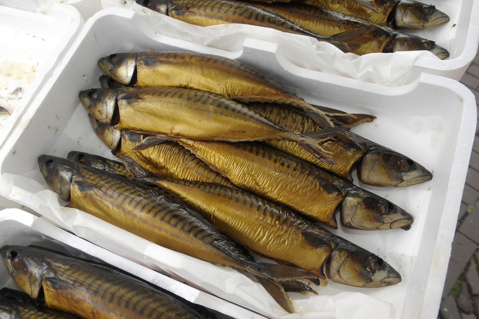 Makreel verdwijnt uit de supermarkten: 'En bij ons steeds duurder'