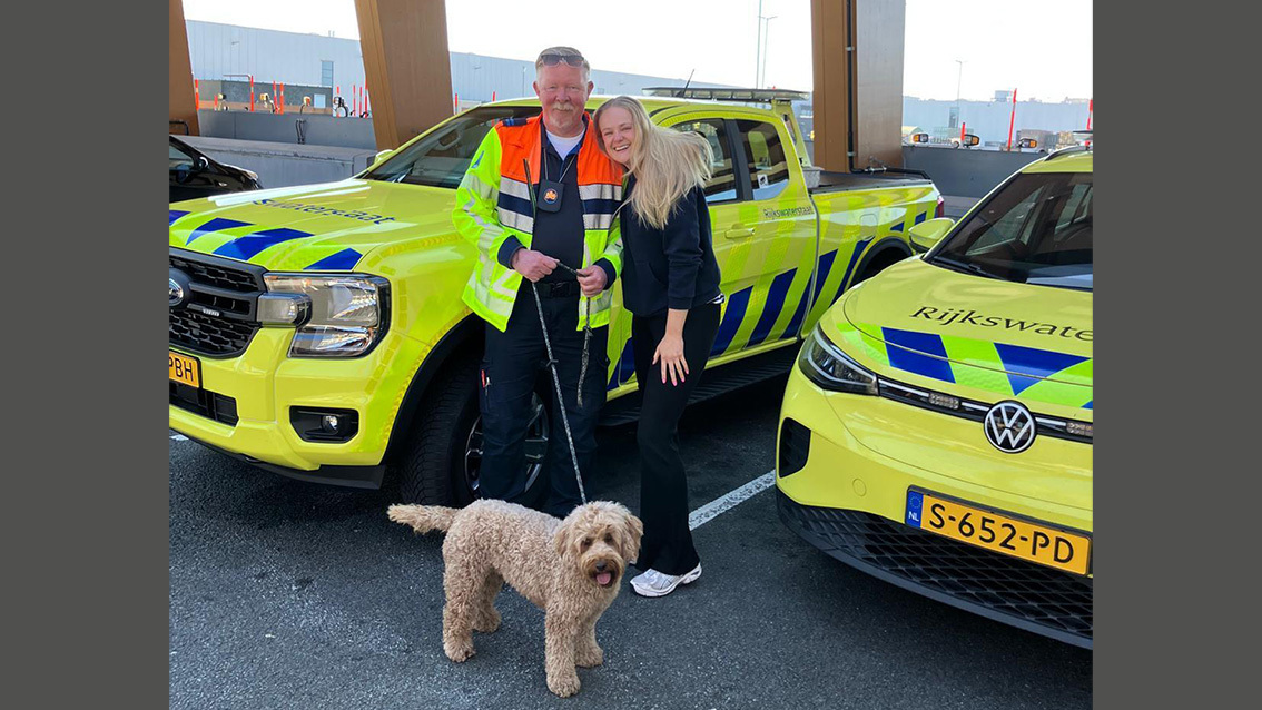 Labradoodle Winnie rent de snelweg op, maar wordt gered: 'Wonder dat dit goed ging'
