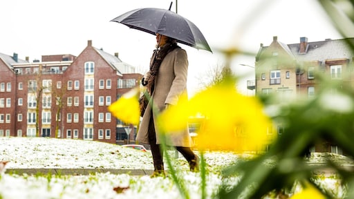 Minder sneeuw en ijs in Europa: niet eerder zo weinig echte kou