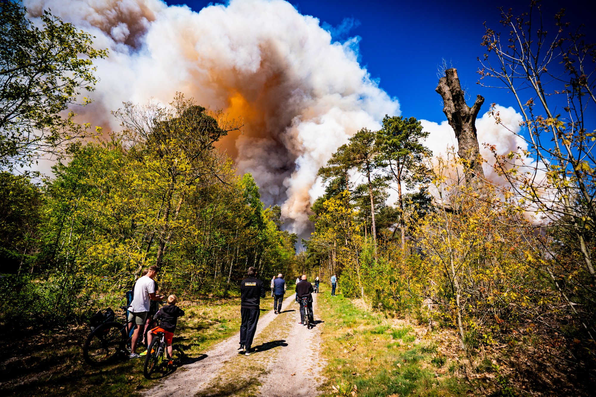 Grote natuurbrand op de Veluwe, rook in wijde omgeving te ruiken