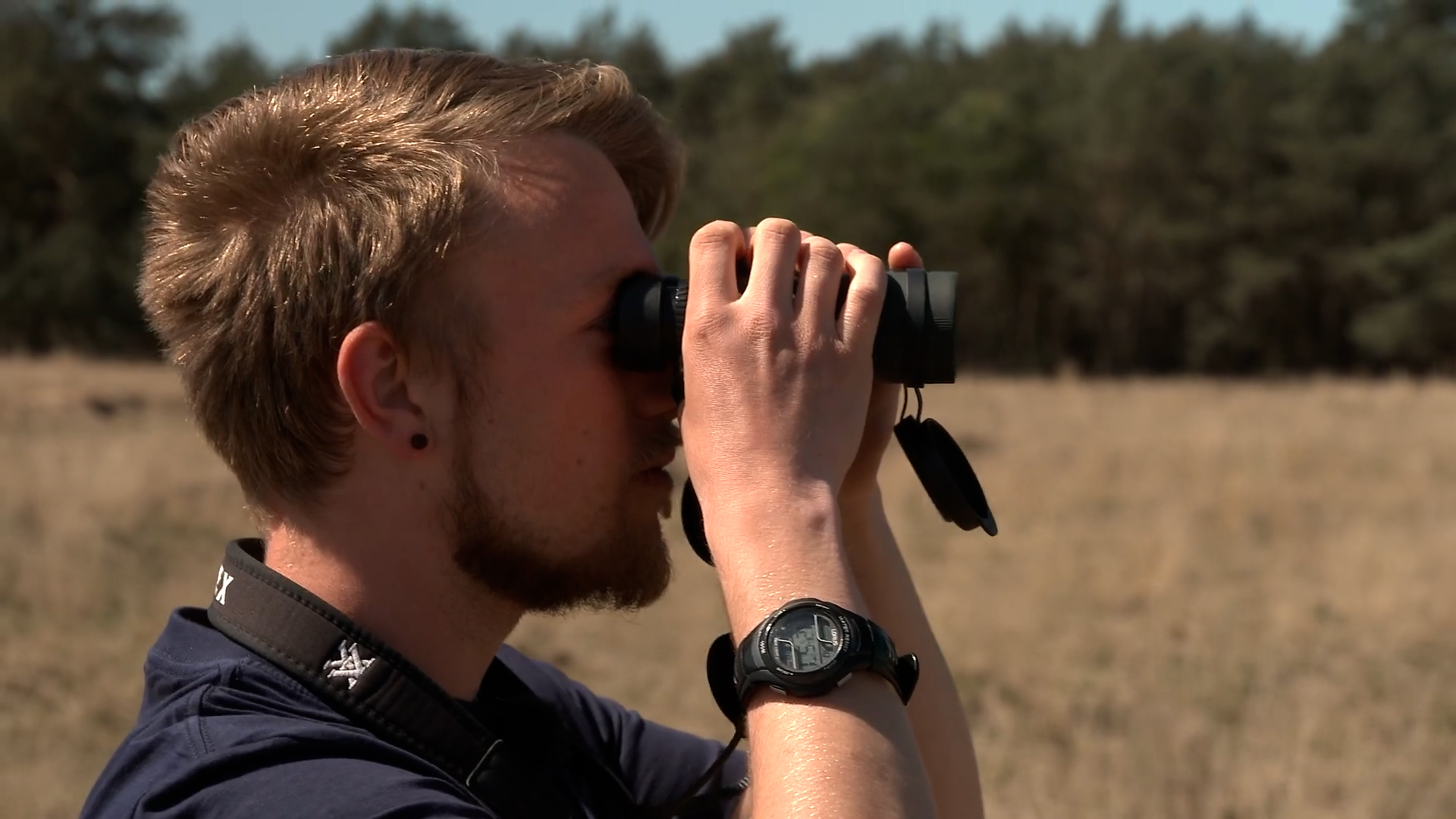 Dit betekent een natuurbrand op de Veluwe voor de dieren die er leven