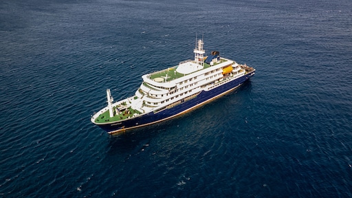 Twee zieke bemanningsleden aan boord van cruiseschip, Nederland leidt repatriëring