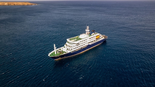 Hantavirus op cruiseschip: drie doden, maar hoe groot is het risico?
