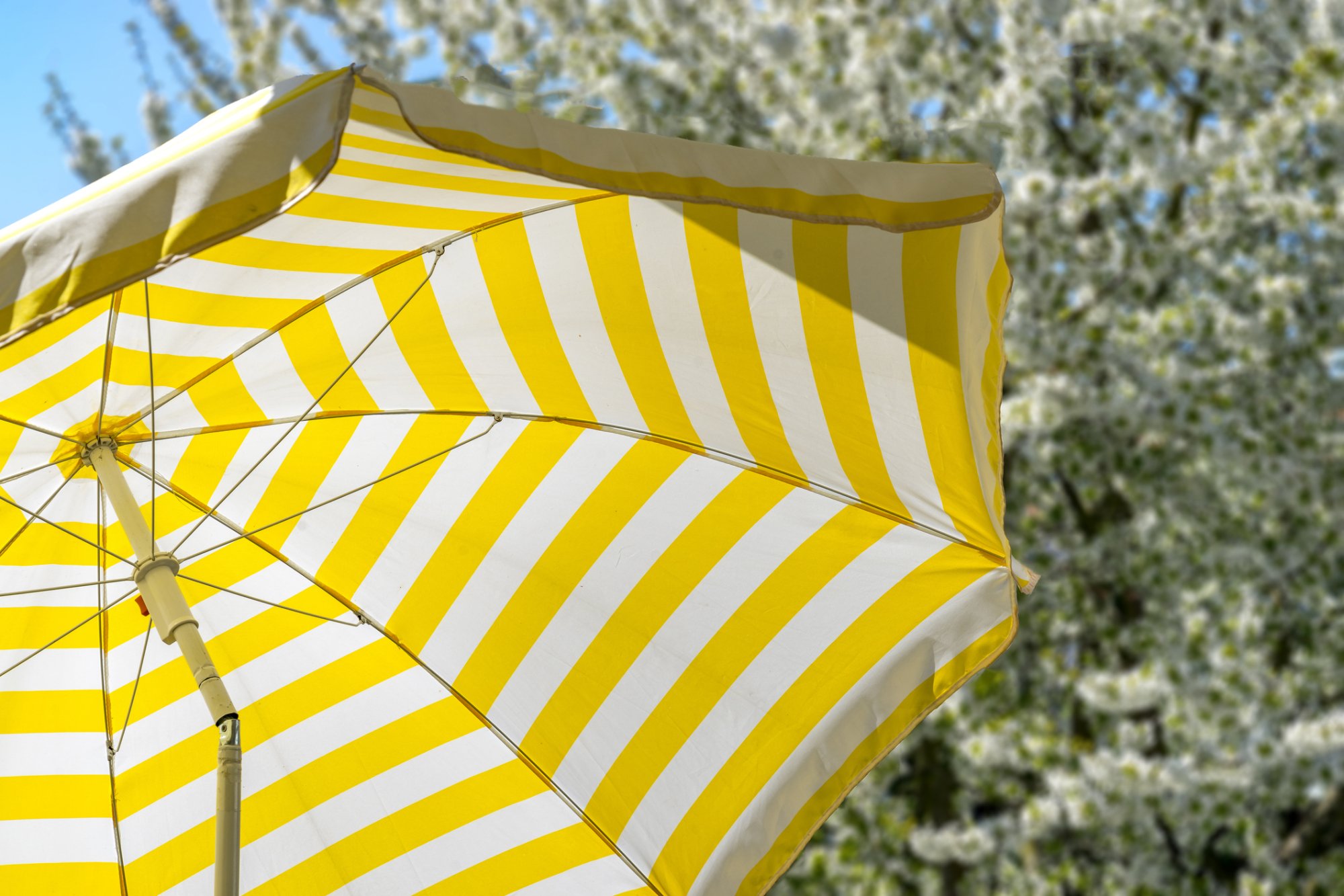 Zo maak je je parasol schoon: 'Geloof niet alle online tips'