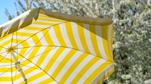 Zo maak je je parasol schoon: 'Geloof niet alle online tips'