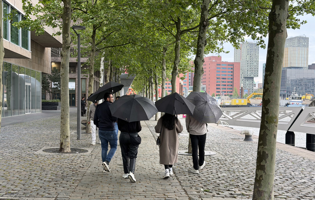 Grote weersverschillen op Bevrijdingsdag in Nederland