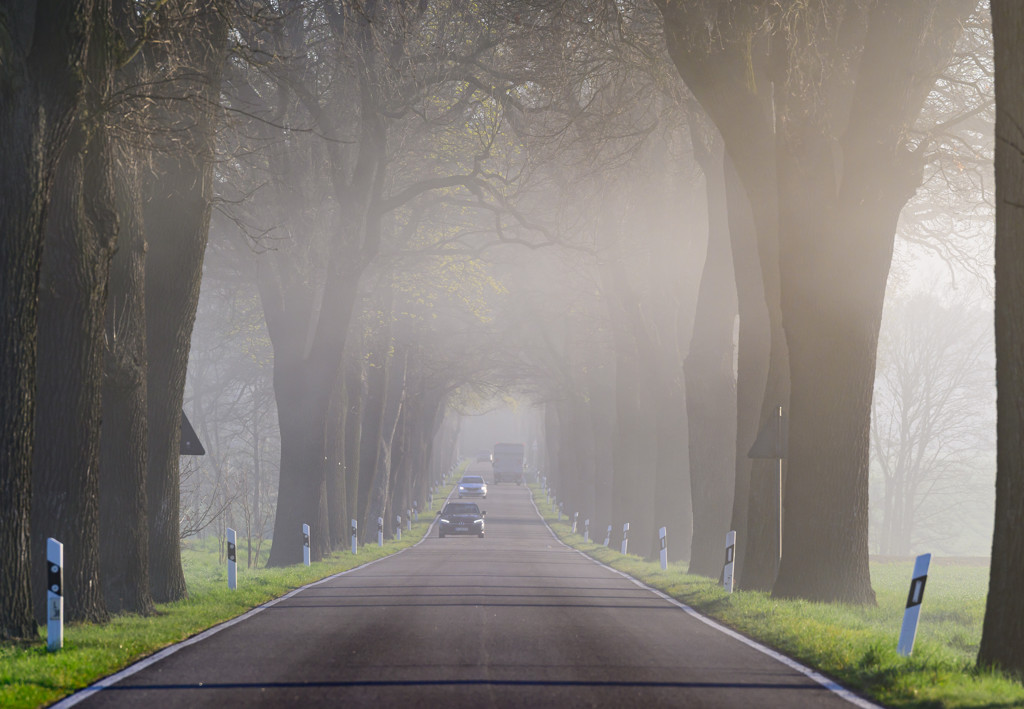 Duitser met dementie laat 91-jarige bijna blinde vrouw achter in auto, vergeet waar