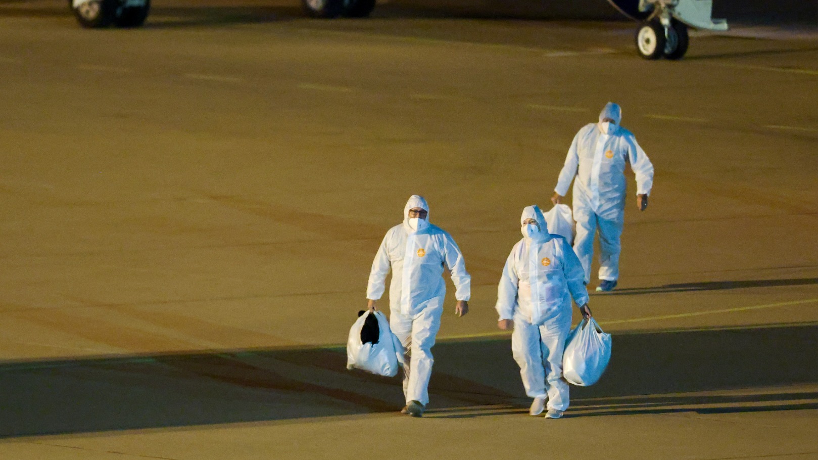 Hantavirus Outbreak on MS Hondius Cruise Ship Triggers Mass Quarantines