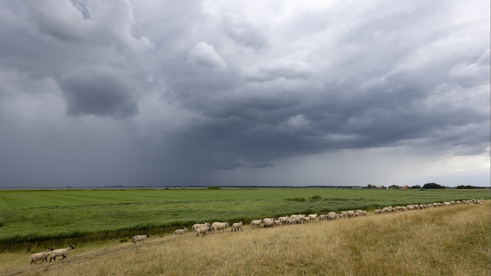 Komende dagen guur: buien en wind op Hemelvaartsdag