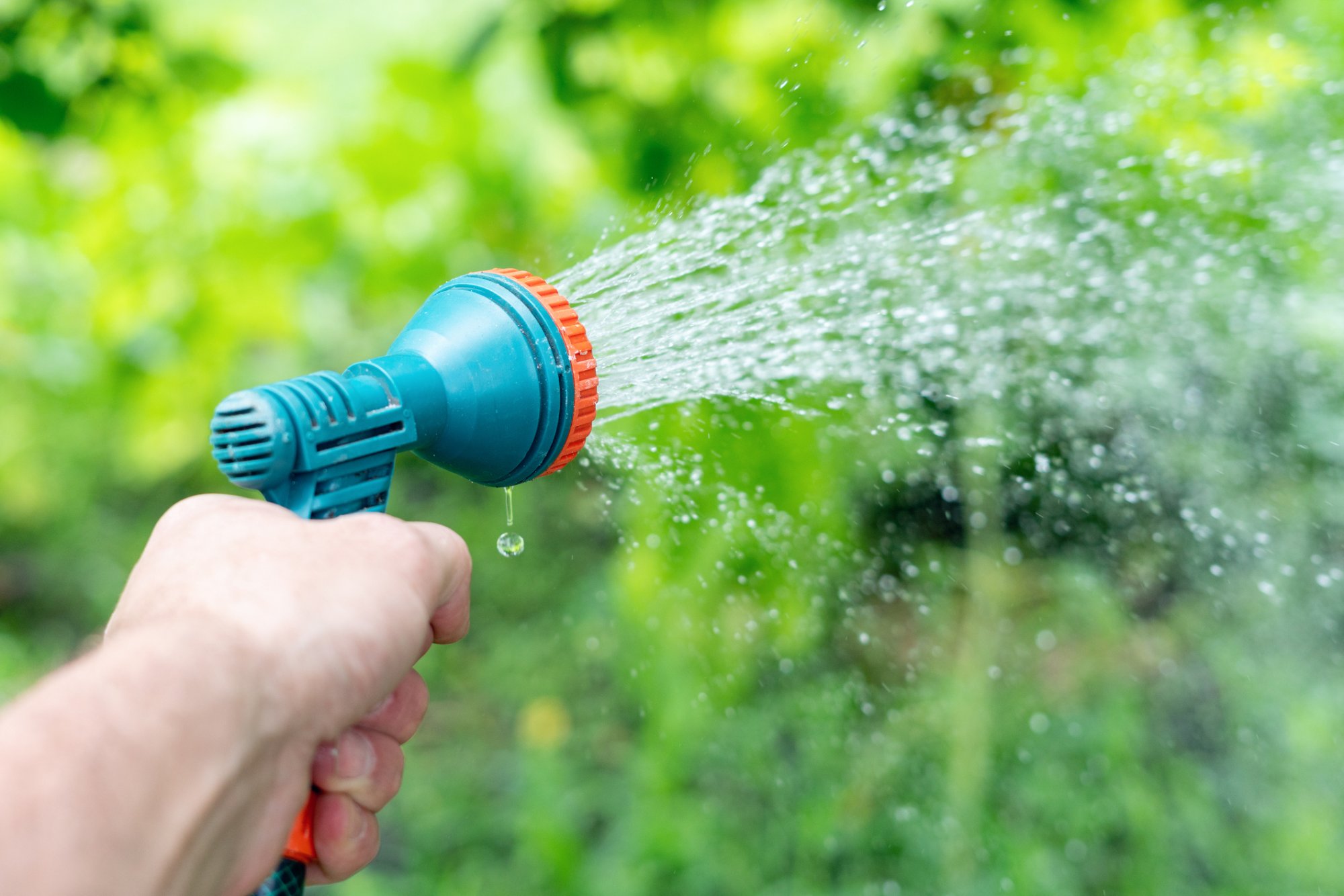 Het beste tijdstip om je planten water te geven op warme dagen
