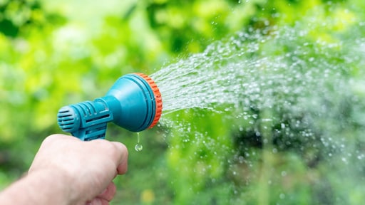 Het beste tijdstip om je planten water te geven op warme dagen