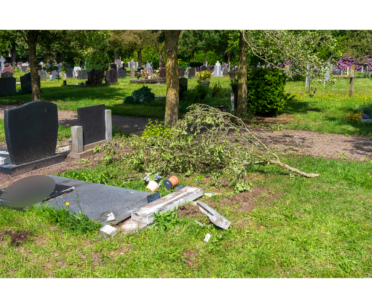 Graven op kerkhof Zwolle vernield, mogelijk voertuig overheen gereden