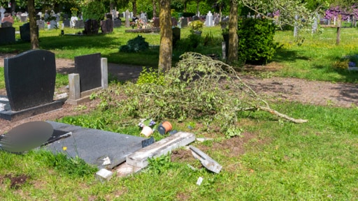 Vernielingen op begraafplaats Zwolle, zou voertuig overheen zijn gereden