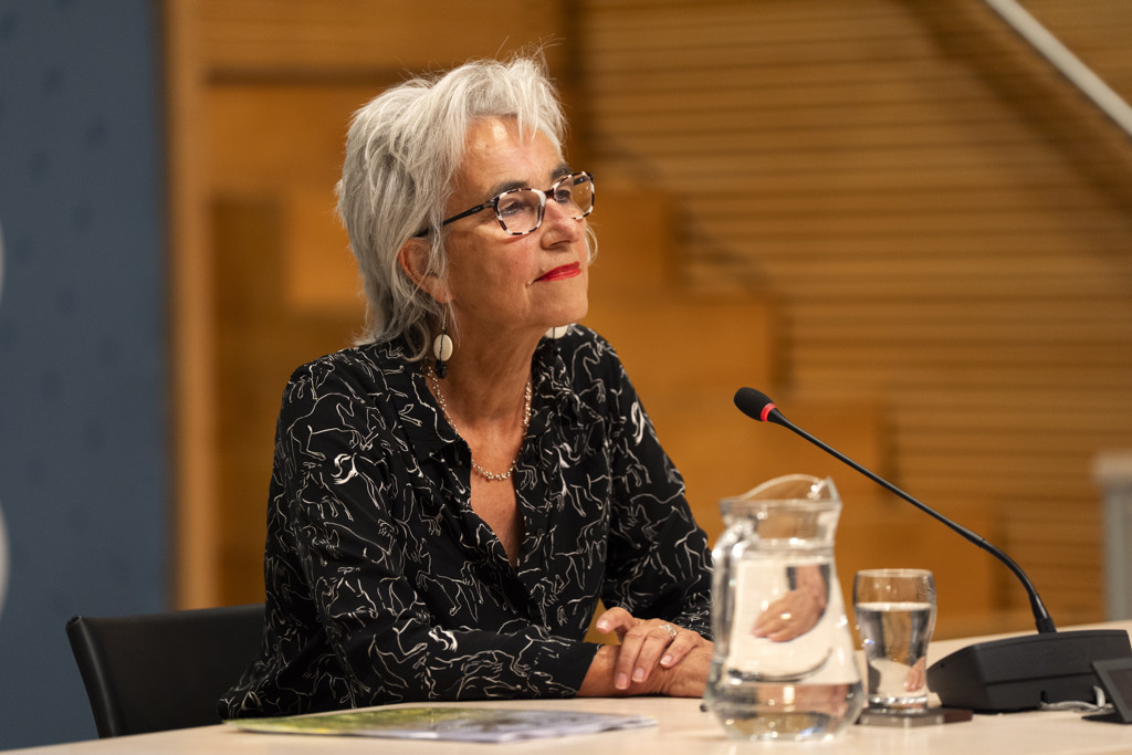 Koopmans voelde twee keer politieke druk op OMT-advies