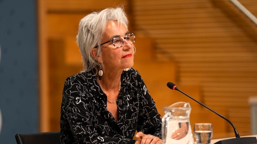 Koopmans voelde twee keer politieke druk op OMT-advies